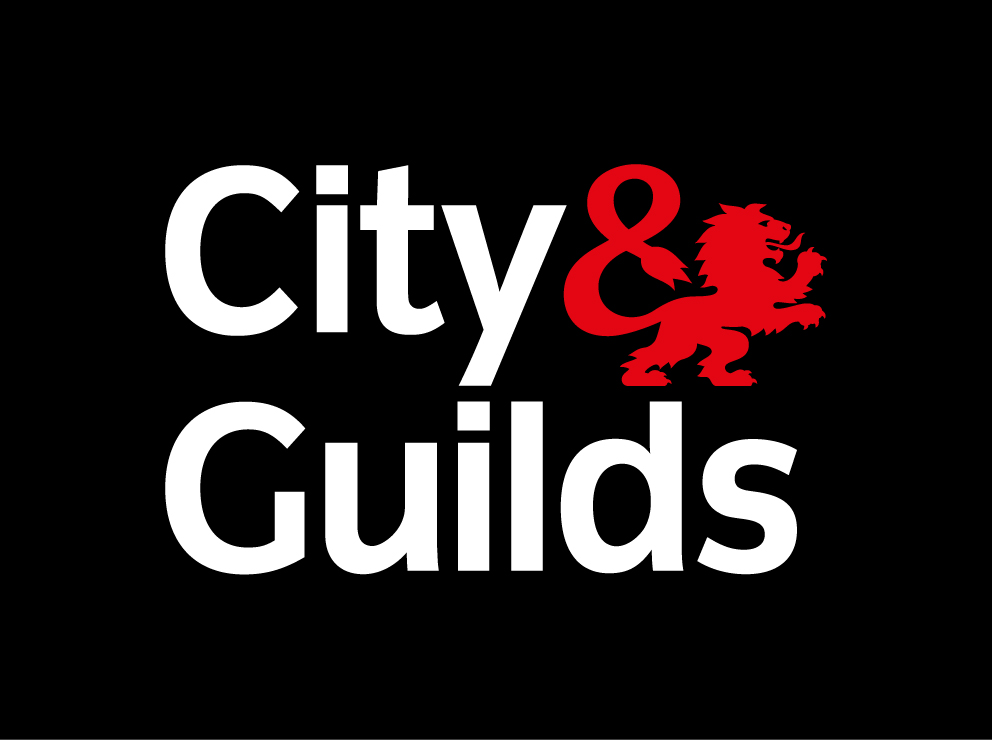 City & Guilds Qualified Engineers - Professional Electrical Training Certification